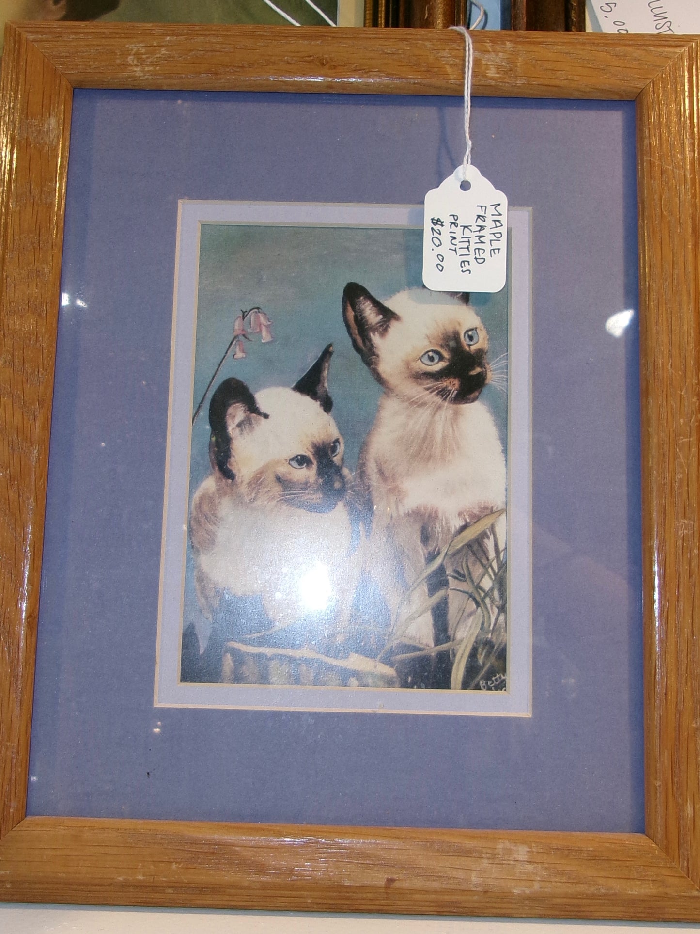 Siamese Cats Framed Print
