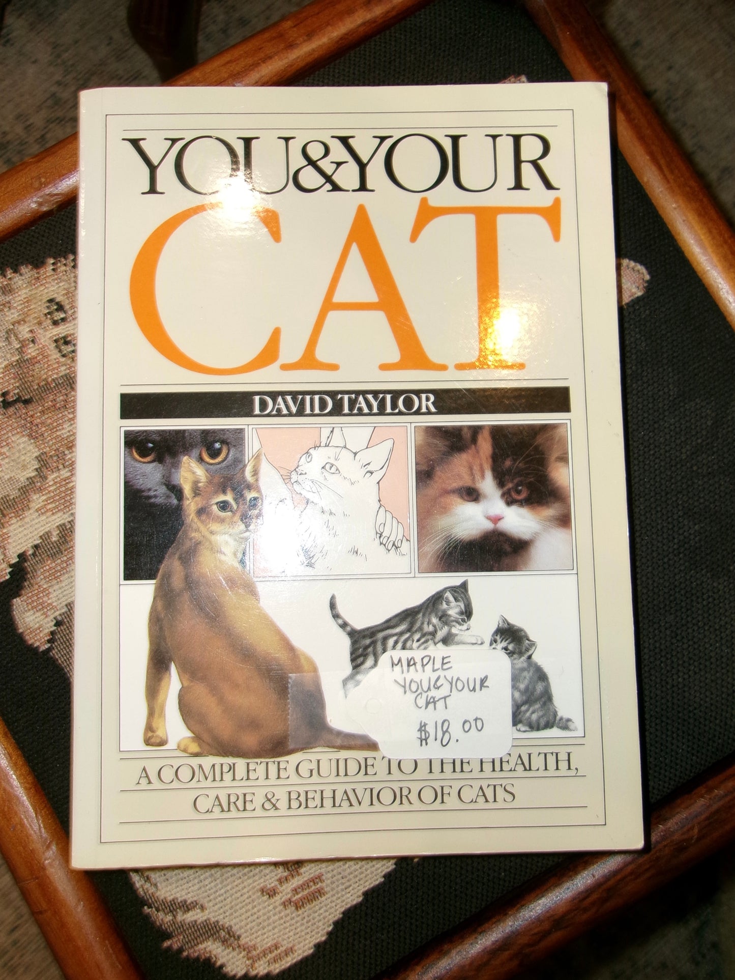 You & Your Cat Paperback Book