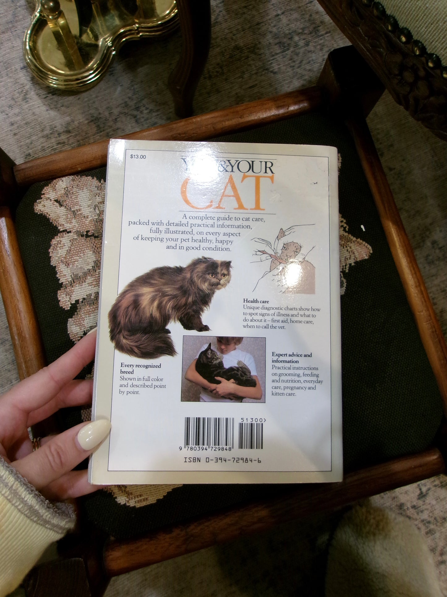 You & Your Cat Paperback Book