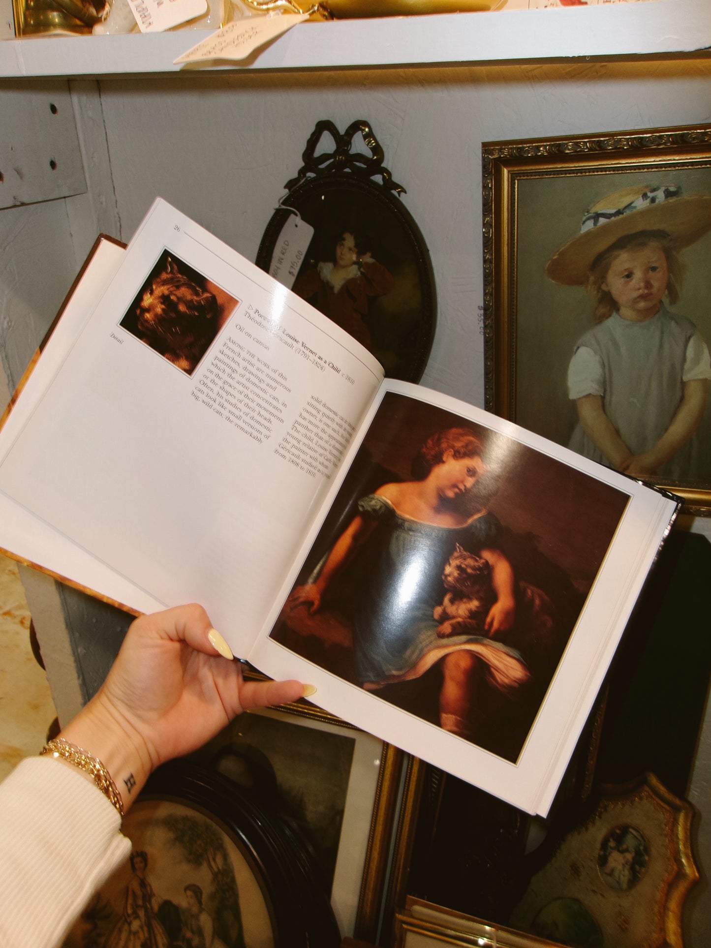 Cats in Art Hardcover Book