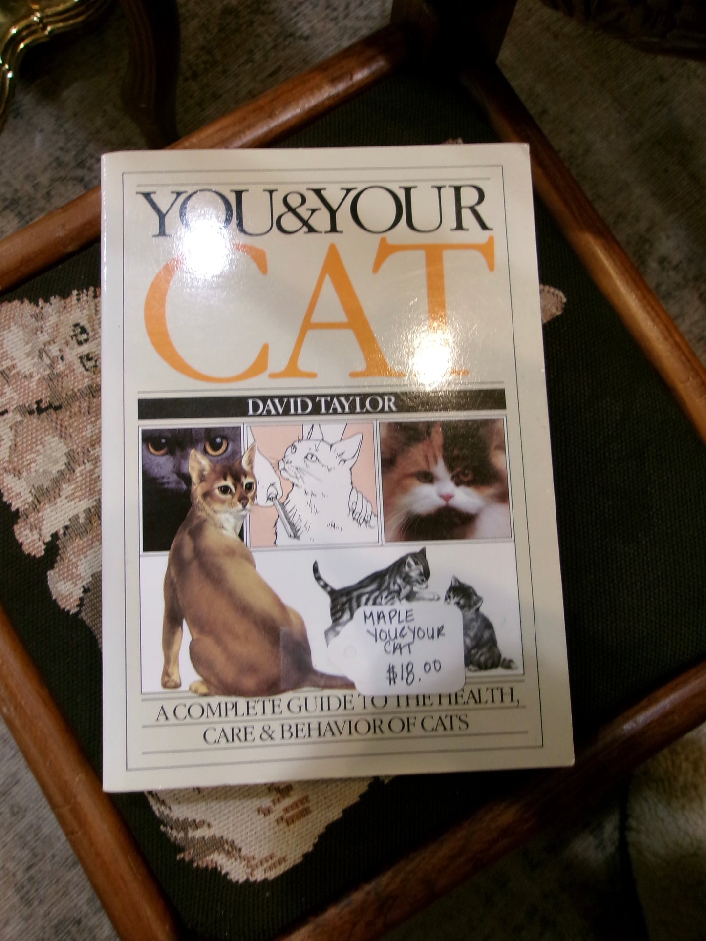 You & Your Cat Paperback Book