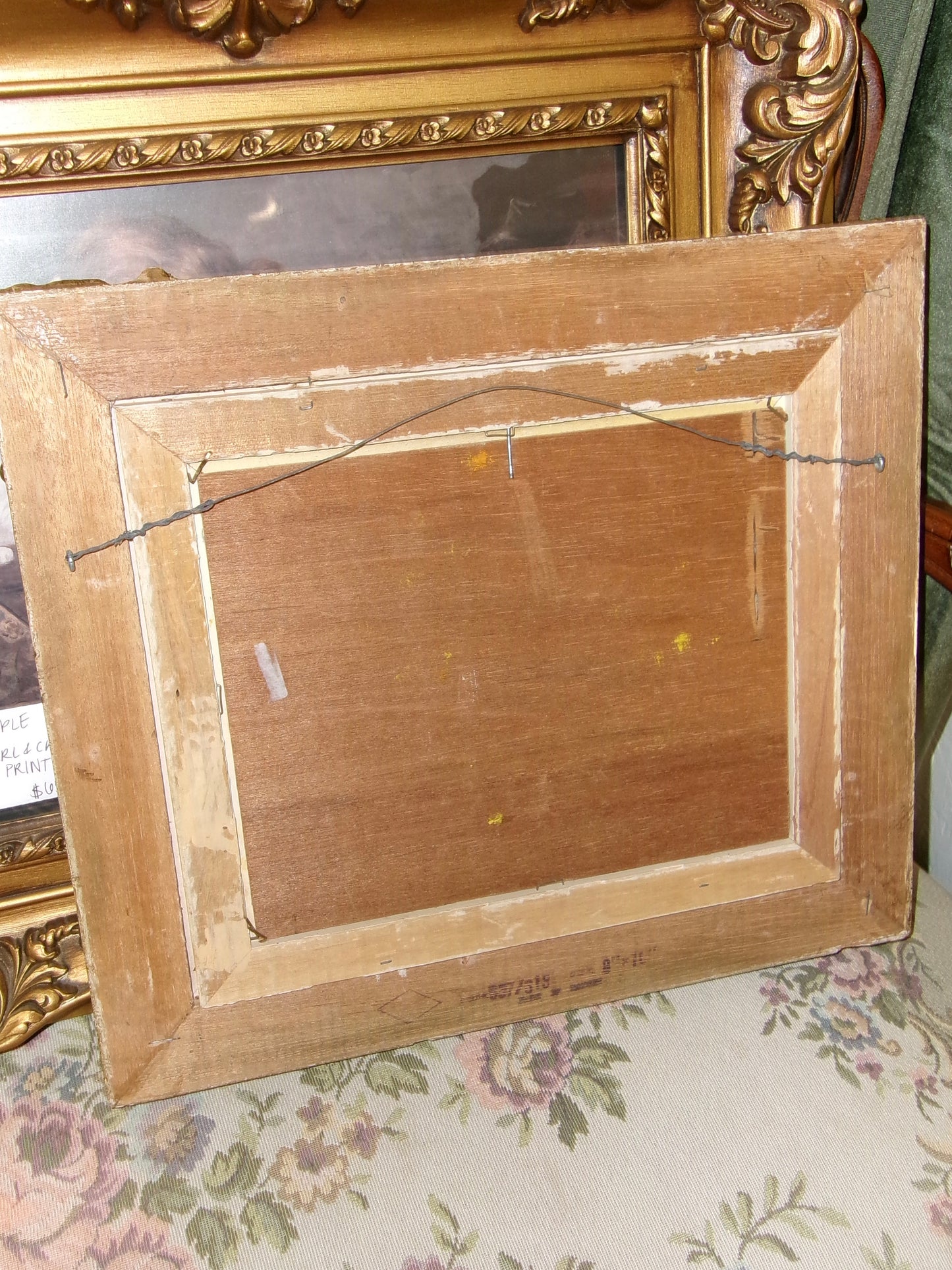 Framed Landscape