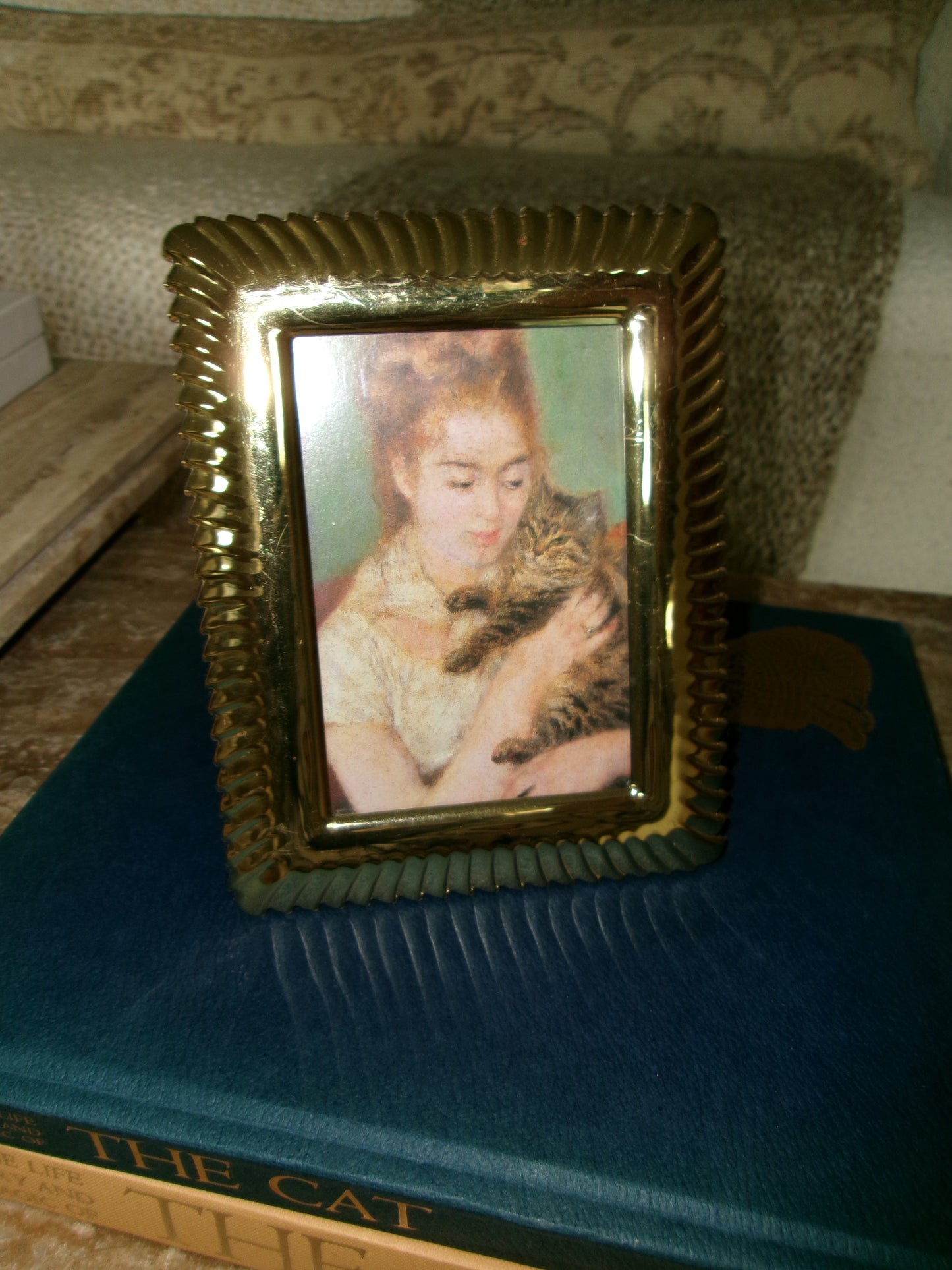 Renoir "Girl with Cat" Framed Print