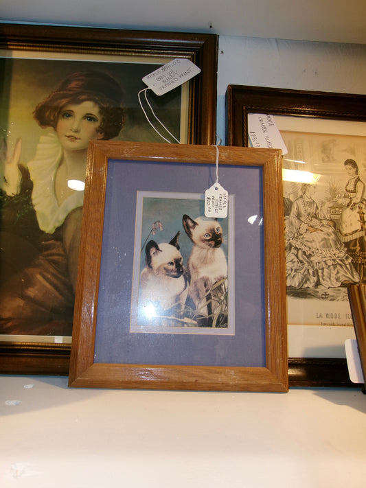 Siamese Cats Framed Print