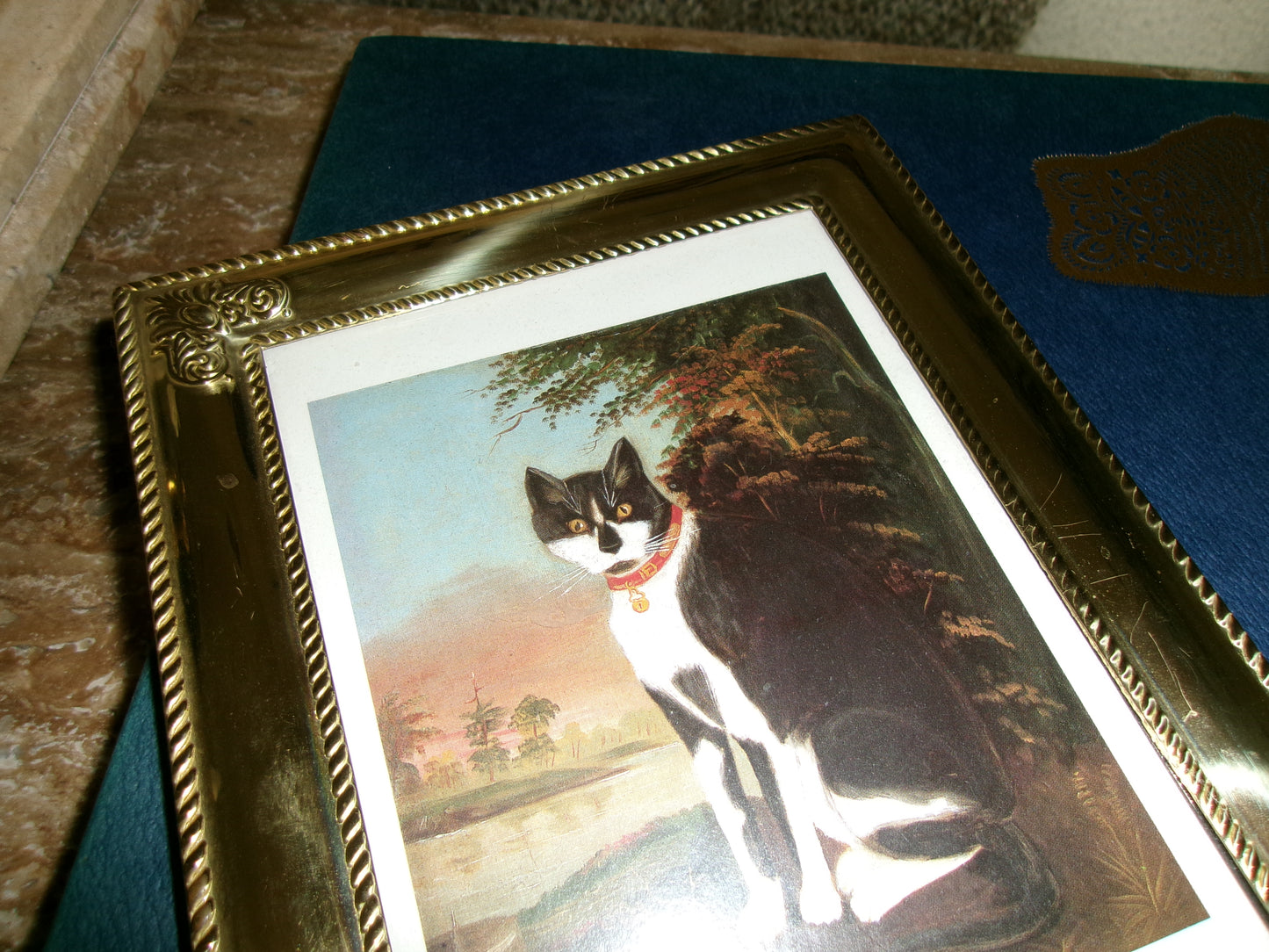 Tuxedo Cat Postcard Framed